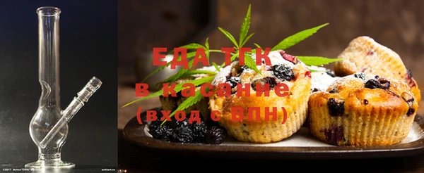шишки Белокуриха