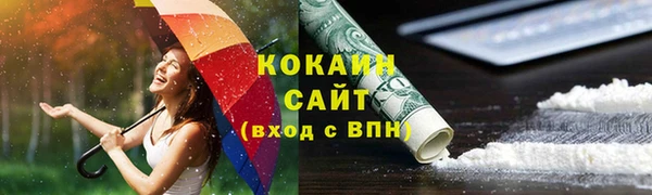 шишки Белокуриха