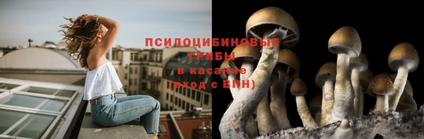 мяу мяу мука Белоозёрский