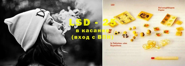 шишки Белокуриха