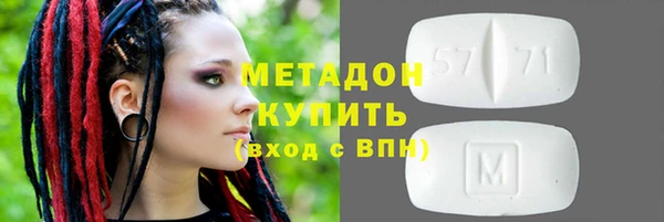 шишки Белокуриха
