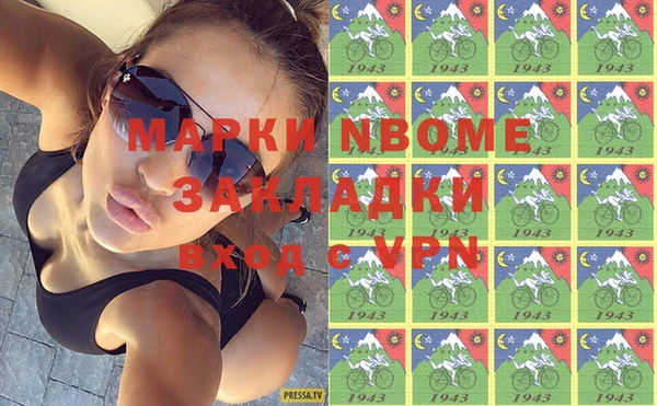 шишки Белокуриха