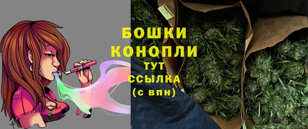 шишки Белокуриха