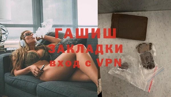 шишки Белокуриха